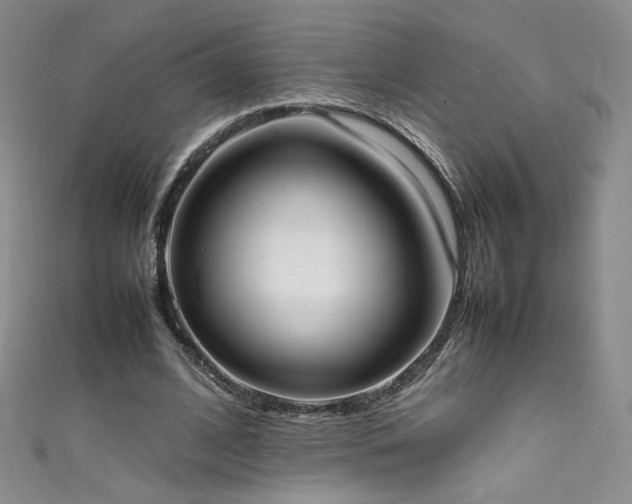 X0000111490584200907141240