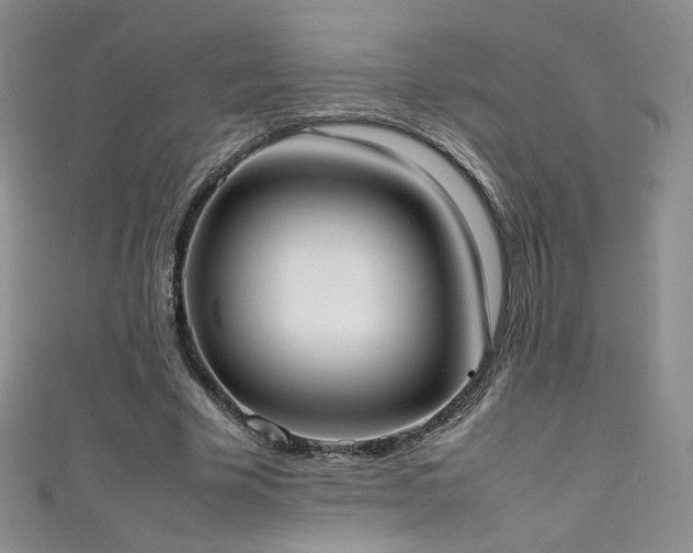 X0000111490585200907141240