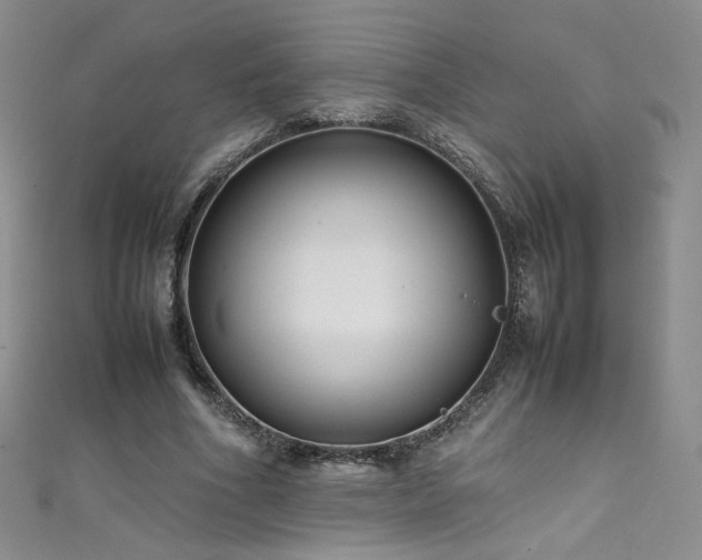X0000111490586200907141240