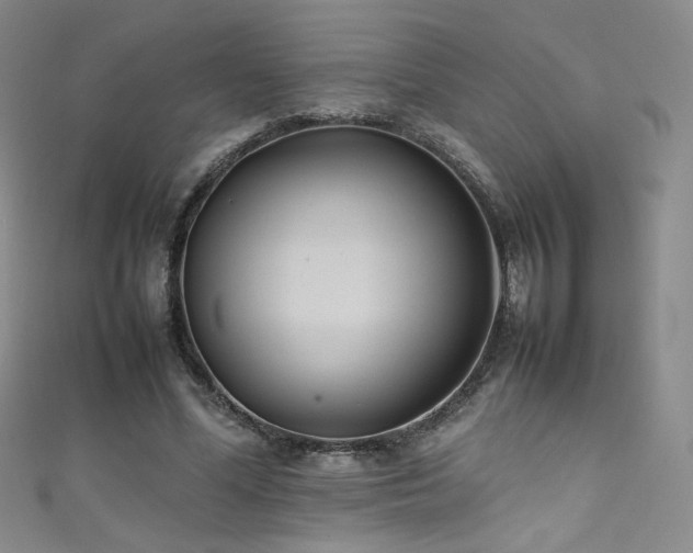 X0000111490588200907141240