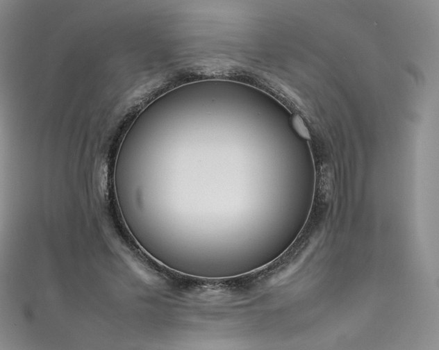 X0000111490589200907141240