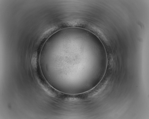 X0000111490590200907141240
