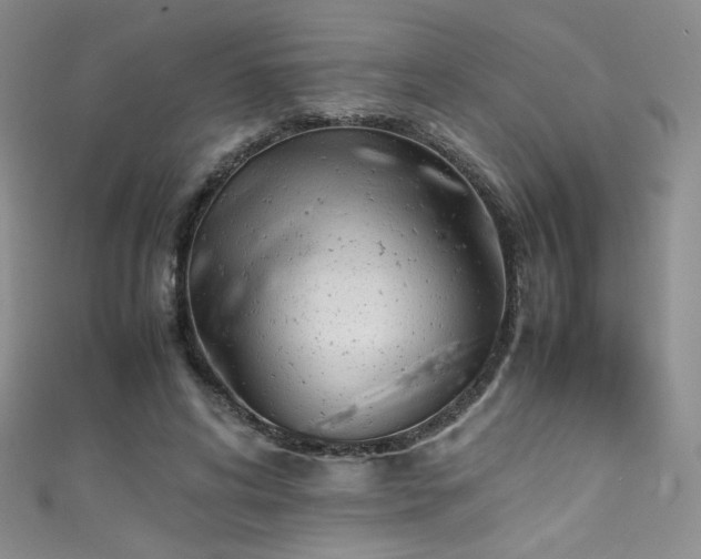 X0000111490592200907141240
