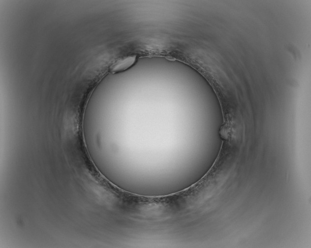 X0000111490593200907141240