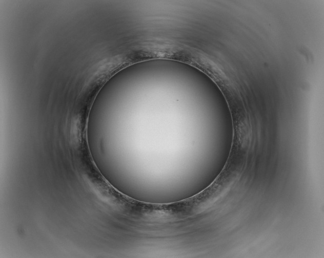 X0000111490594200907141240