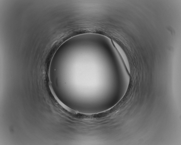 X0000111490595200907141240