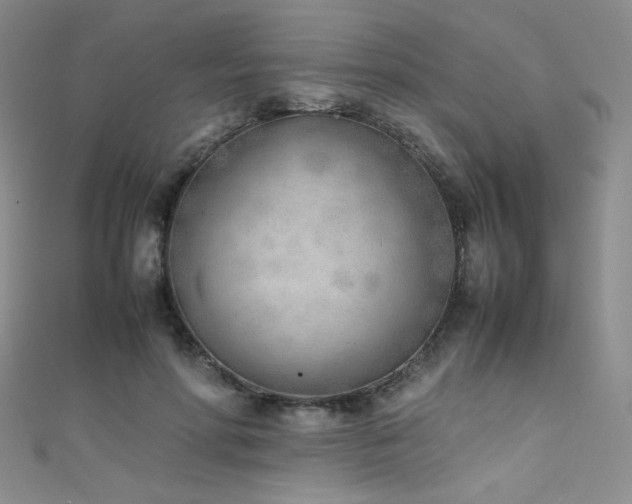 X0000111490598200907141240