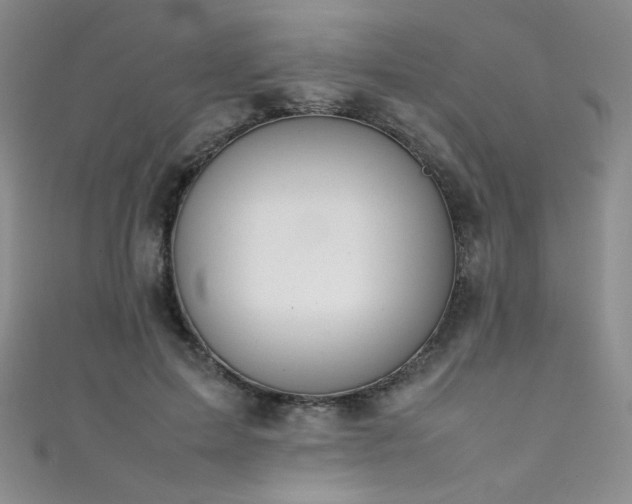 X0000111490599200907141240