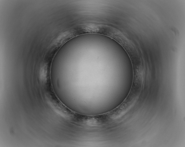 X0000111490600200907141240
