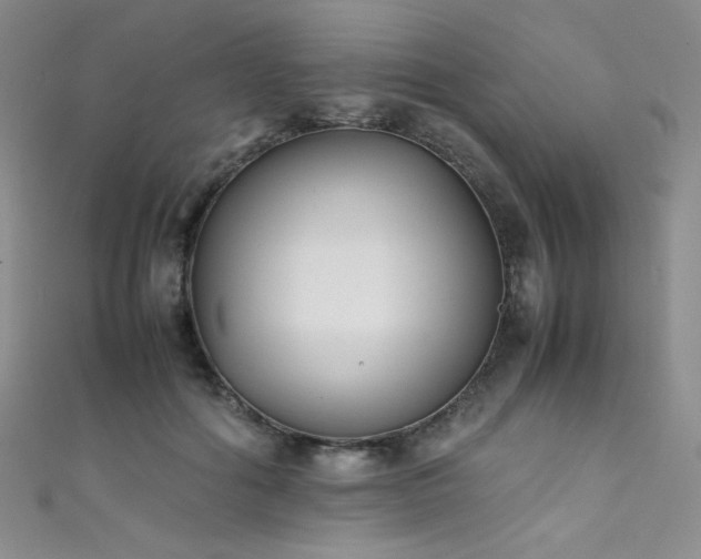 X0000111490602200907141240