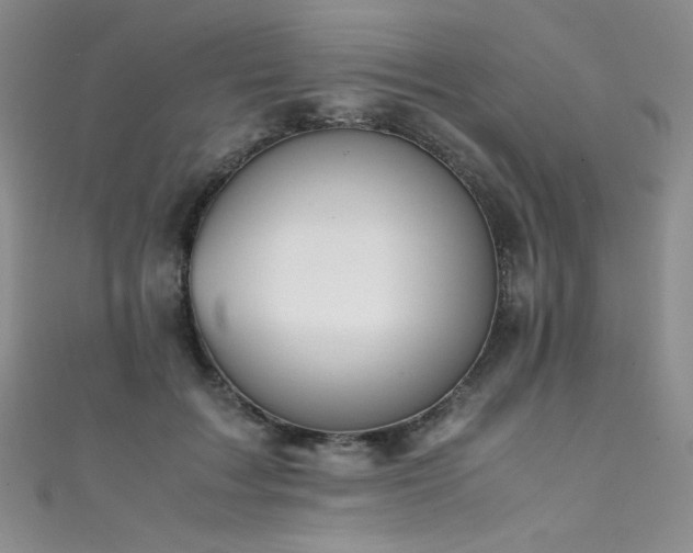 X0000111490603200907141240