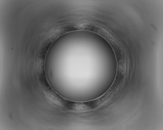 X0000111490605200907141240