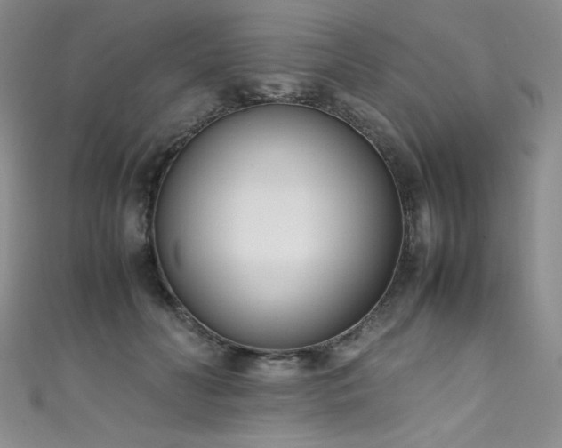 X0000111490606200907141240