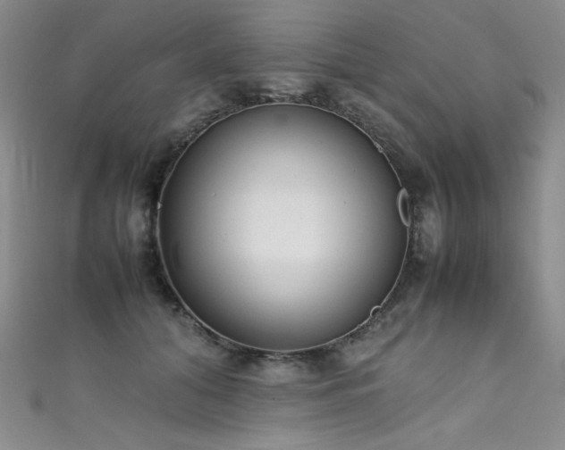 X0000111490608200907141240