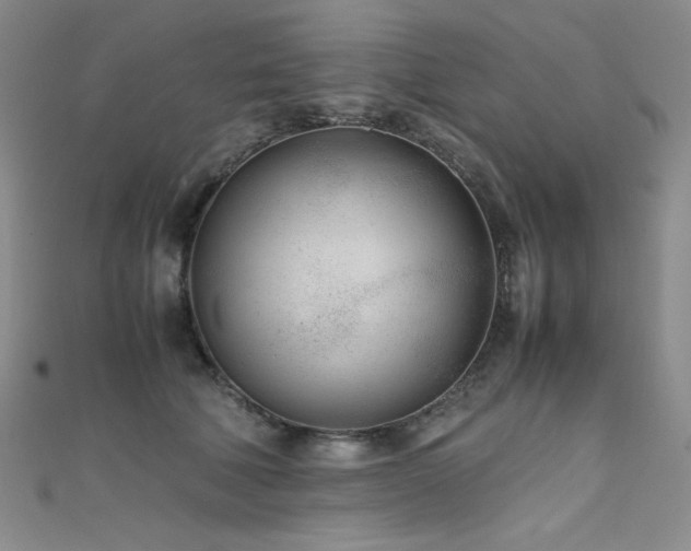 X0000111490610200907141240