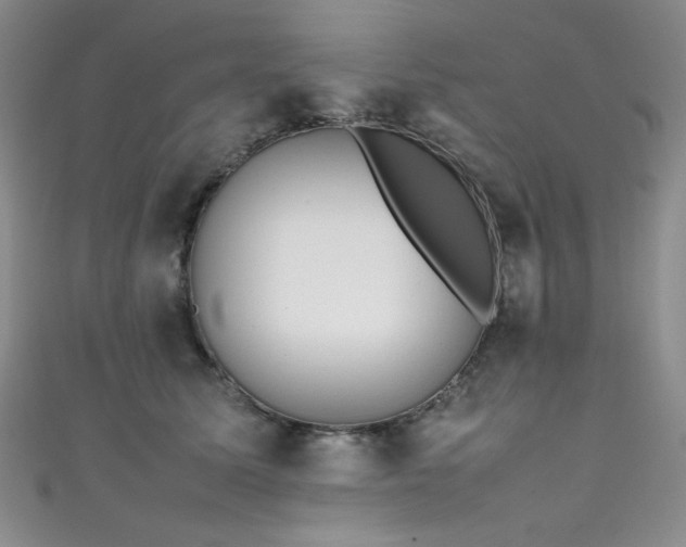 X0000111490611200907141240