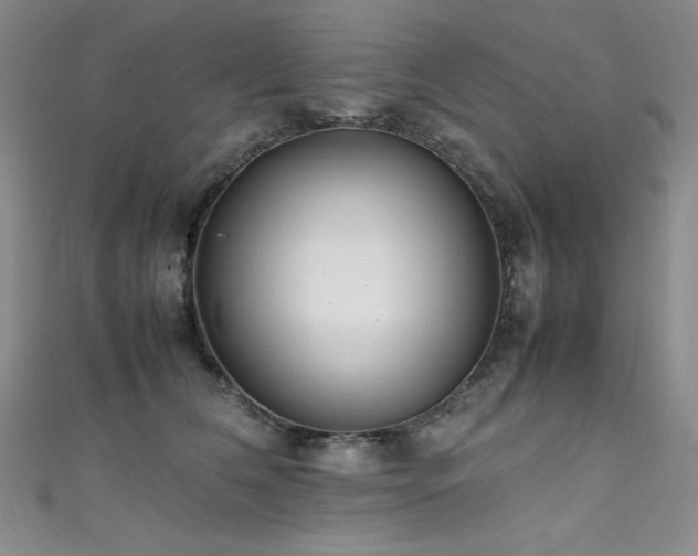 X0000111490612200907141240
