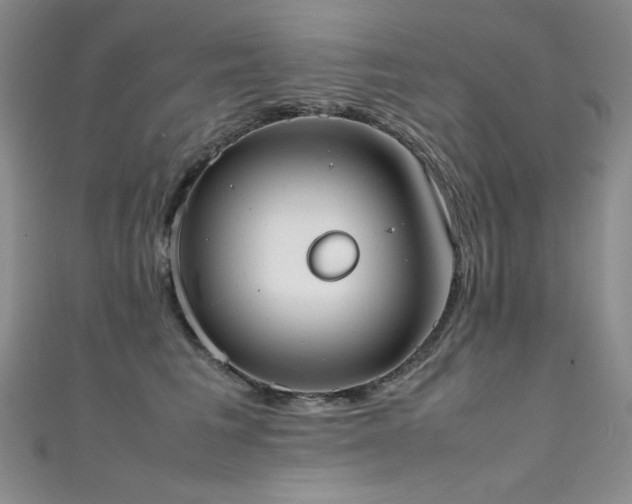 X0000111490613200907141240