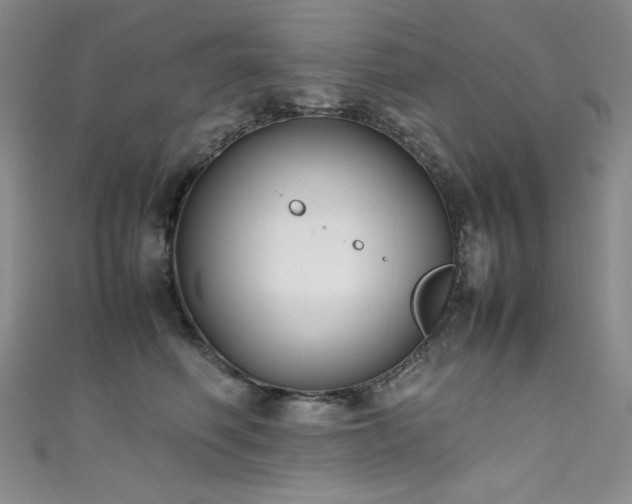 X0000111490614200907141240