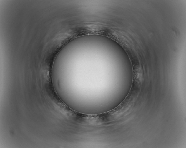X0000111490615200907141240