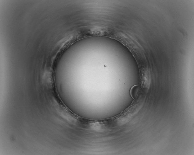 X0000111490616200907141240