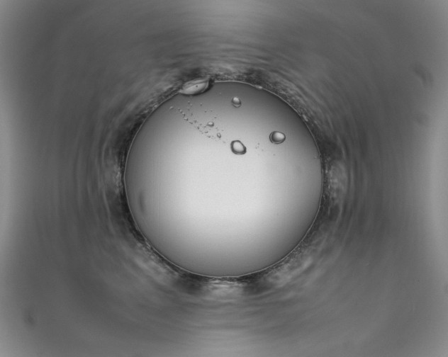 X0000111490617200907141240