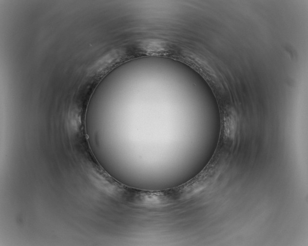 X0000111490618200907141240