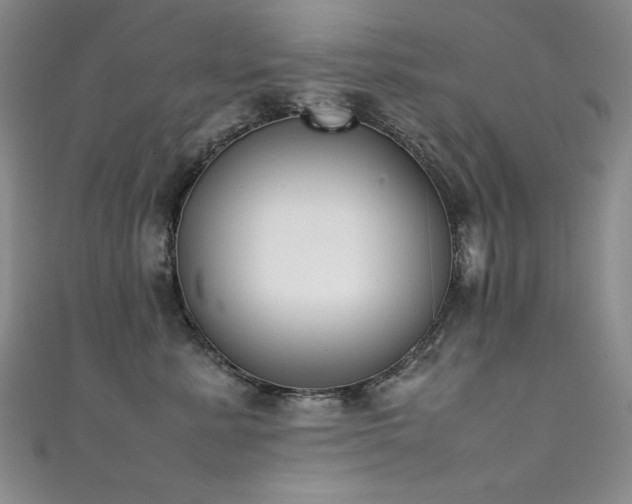 X0000111490619200907141240
