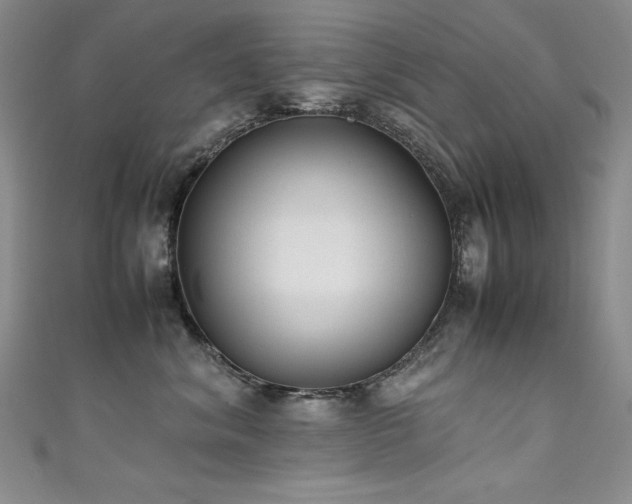 X0000111490620200907141240