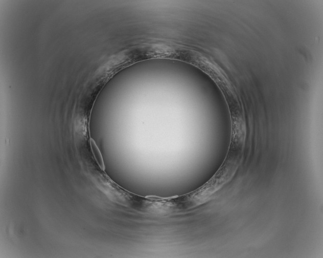 X0000111490621200907141240