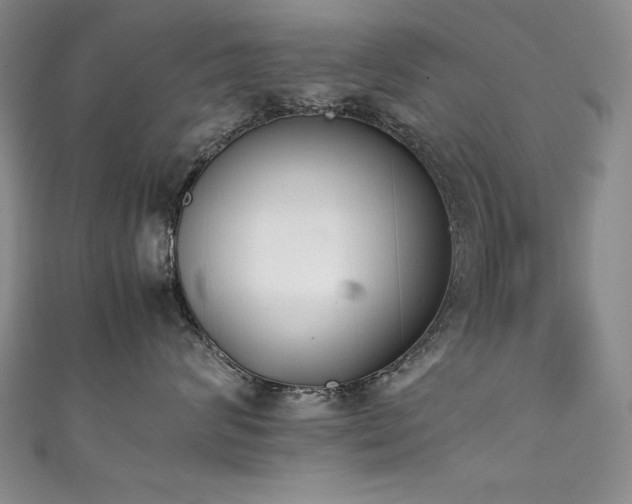 X0000111490624200907141240