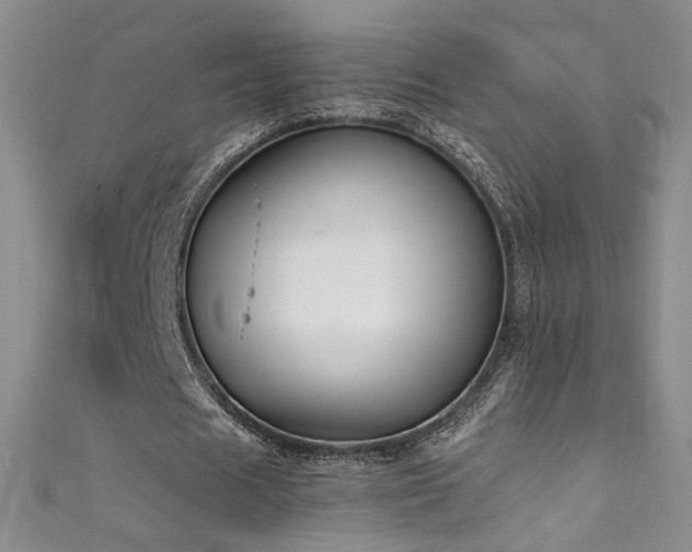 X0000111490625200907141239