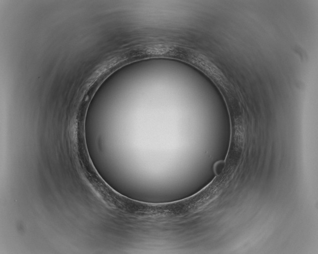 X0000111490626200907141239