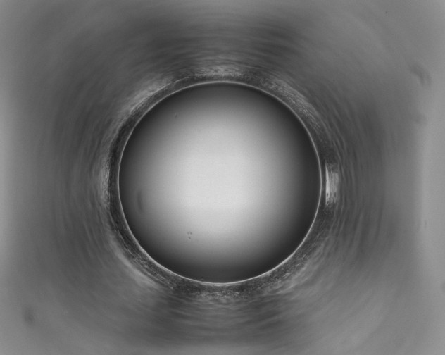X0000111490627200907141239