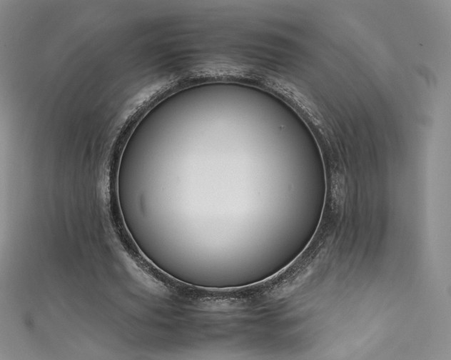 X0000111490629200907141239