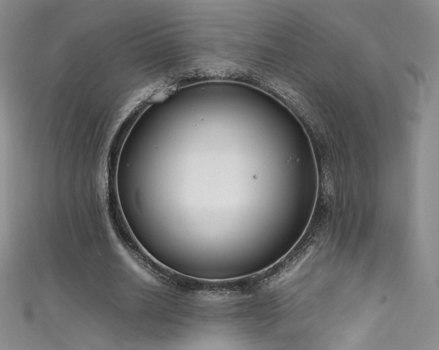 X0000111490630200907141239