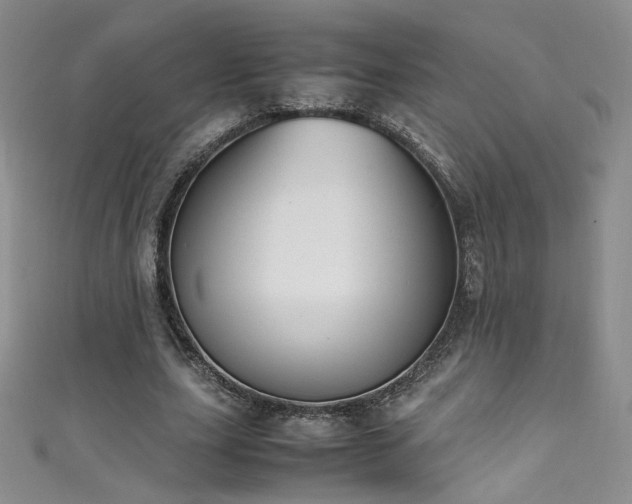 X0000111490631200907141239