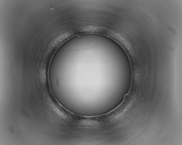 X0000111490633200907141239