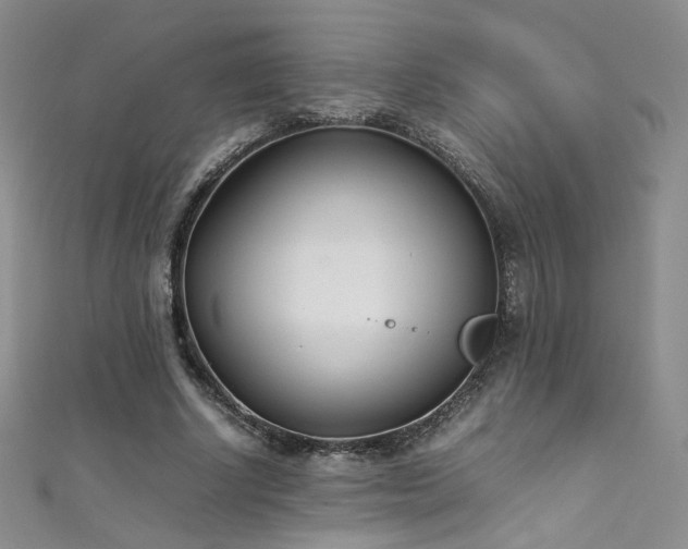 X0000111490634200907141239