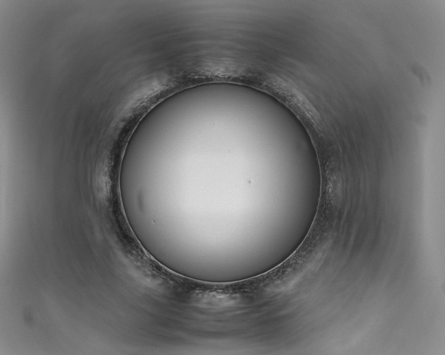 X0000111490635200907141239