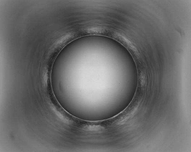X0000111490637200907141239