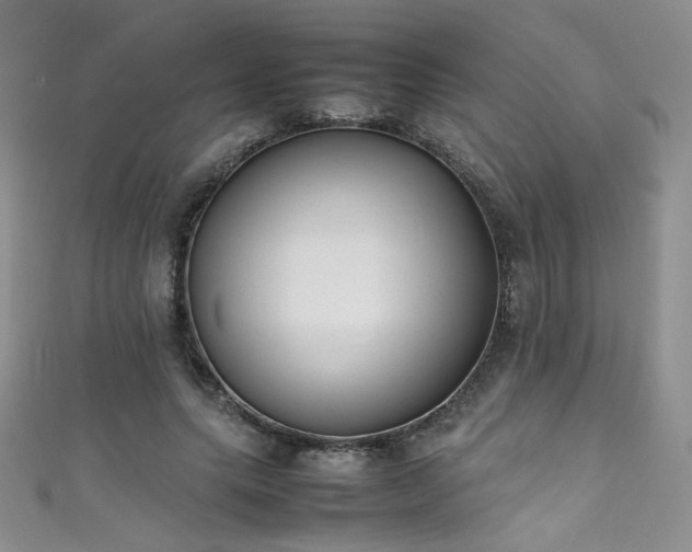 X0000111490639200907141239