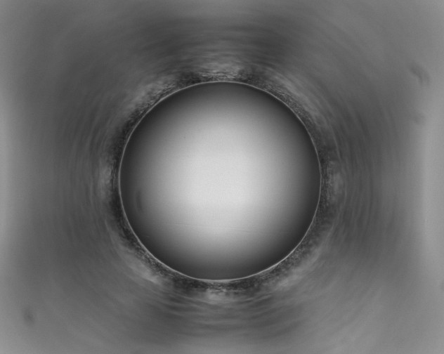 X0000111490641200907141239