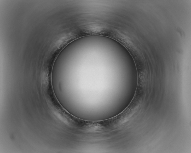 X0000111490642200907141239