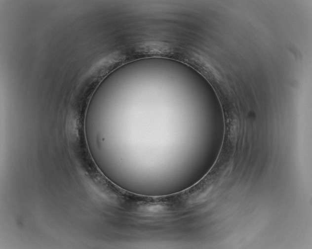 X0000111490643200907141239
