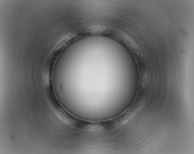 X0000111490644200907141239