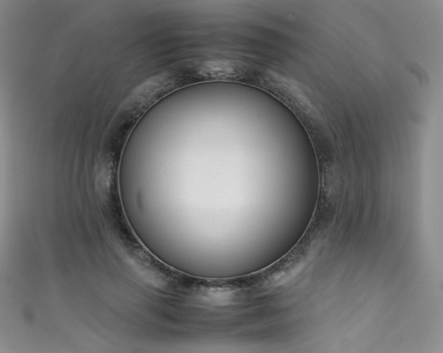 X0000111490645200907141239