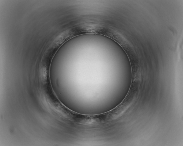 X0000111490646200907141239