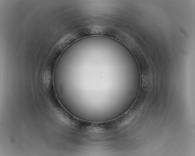 X0000111490648200907141239