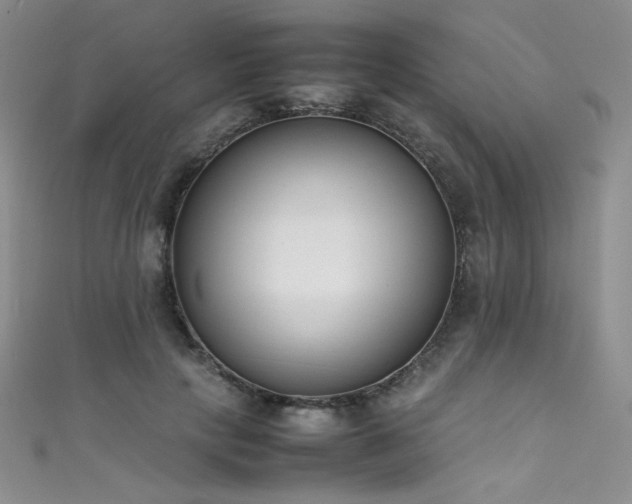 X0000111490649200907141239